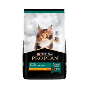 PRO PLAN Kitten
